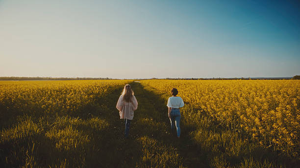 istock Two Women Walking through a Canola Field at Sunset 2214045832