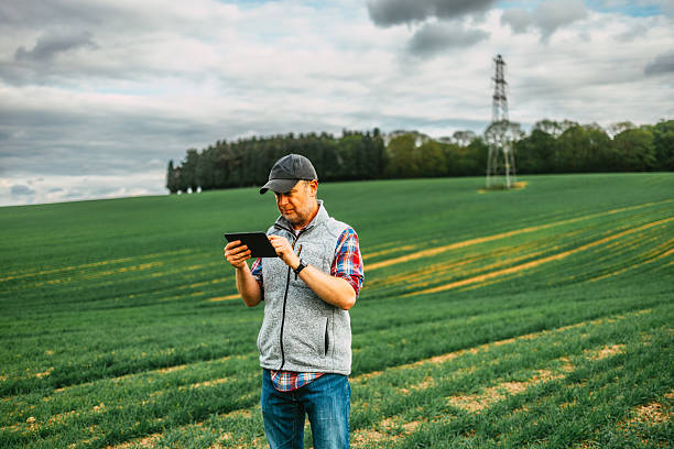 istock Farmer using digital tablet in lush green agricultural field 2214048193