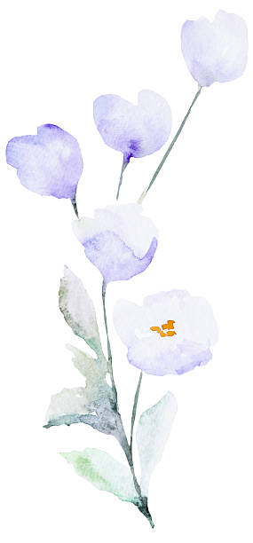 istock Watercolor light purple wild flower isolated illustration, floral wedding and greeting element 2214048377