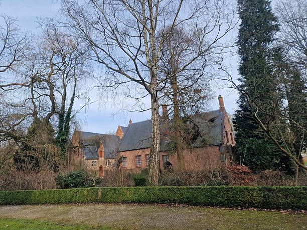 istock Traditional buildings in Belgium 2214069383