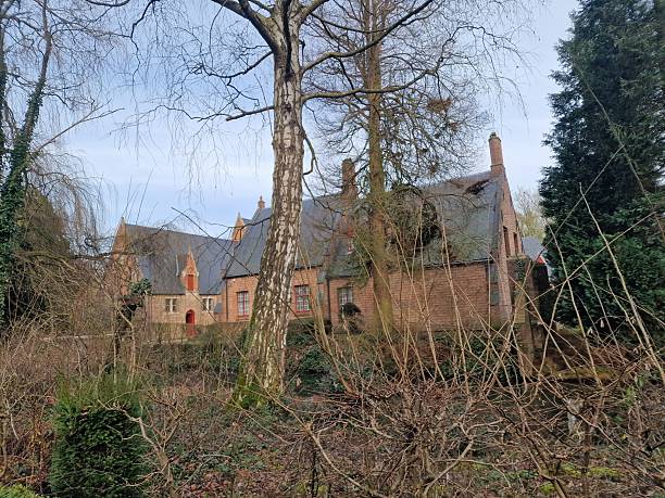 istock Traditional buildings in Belgium 2214069388