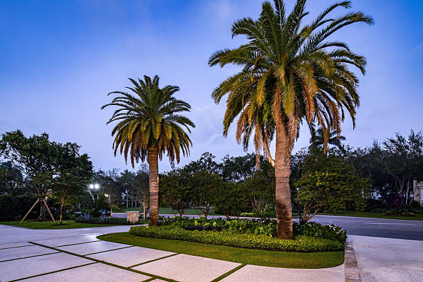 istock tropical garden in front of house 2214069562