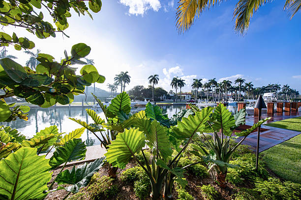 istock luxury tropical in house backyard 2214069790