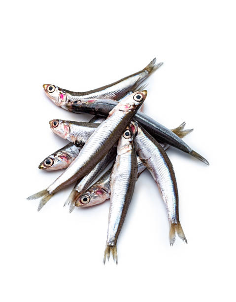 istock Fresh raw European anchovy. 2214071424