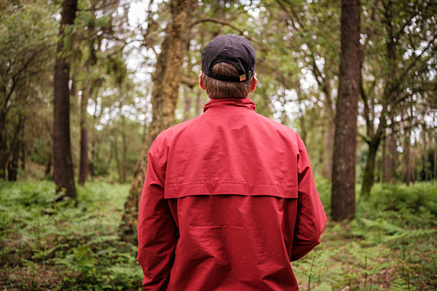 Man wearing red jacket and black cap admiring trees in a green forest