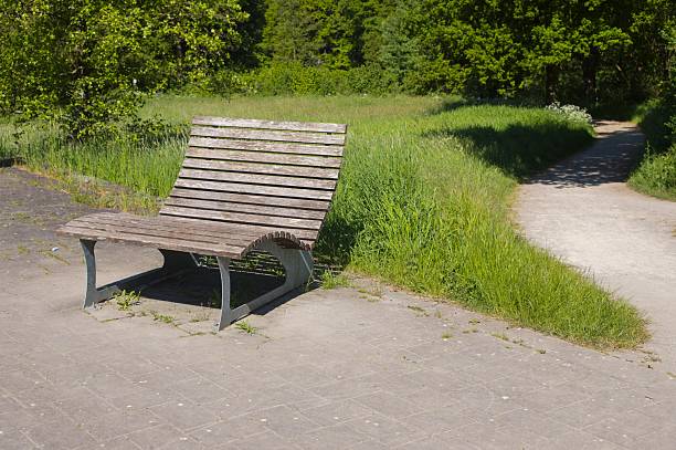 Modern wooden bench welcomes visitors to rest and enjoy the serene atmosphere of a green park