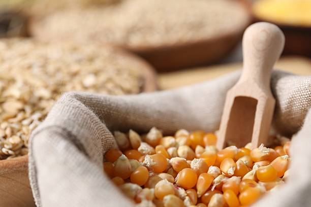 istock Dry corn kernels in sack with scoop, closeup 2214072656