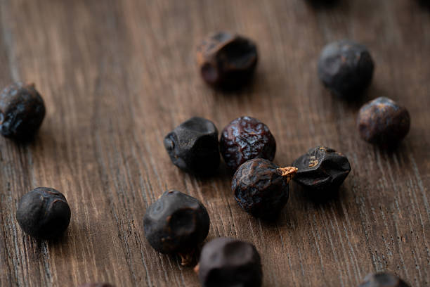 Close-up of juniper berries