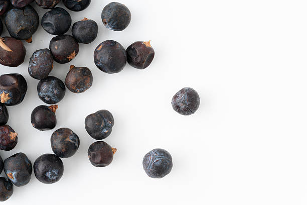 istock Close-up of juniper berries 2214074175