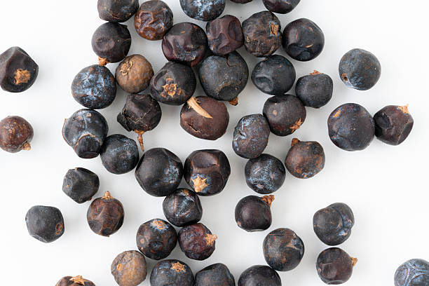 istock Close-up of juniper berries 2214074326