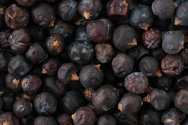 Close-up of juniper berries