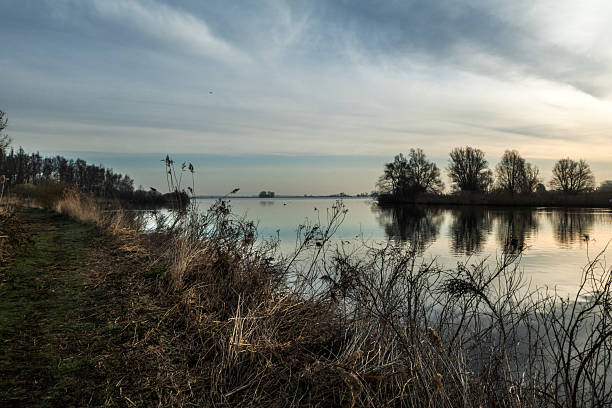 istock New nature in the Netherlands 2214074855