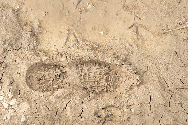 Footprints of shoes on a sandy beach in Galveston, Texas, USA