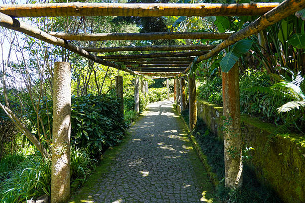 Wooden trellises and empty cobbled road