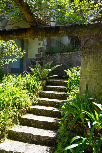 istock Sunlit Stone Steps in Lush Garden Green Plants Foliage Pathway 2214077680
