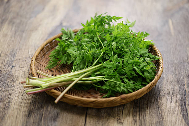 istock wild chervil, called yamaninjin in Japan. 2214078570