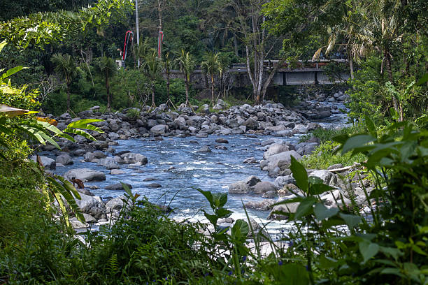 The Telaga Waja is a river which is situated in eastern Bali, Indonesia.[1] It rises on the slope of Mount Abang and passes through towns and wilderness slopes along the region of Sidemen village.