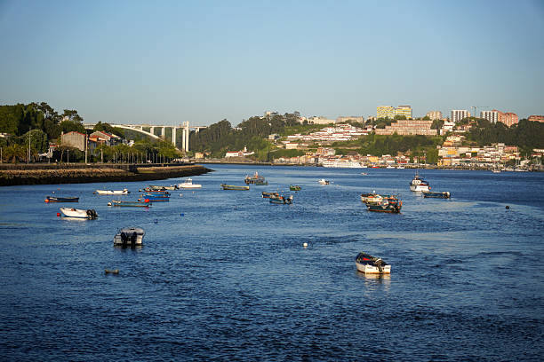 Picturesque view of a calm river with numerous small boats a modern bridge in the distance and a charming coastal town nestled on a hillside under a clear blue sky The scene offers a serene and tranquil atmosphere perfect for travel or nature-related projects