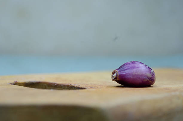fresh onion on table