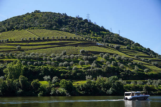 istock Picturesque Douro Valley Vineyard Terraces with River Boat 2214086481