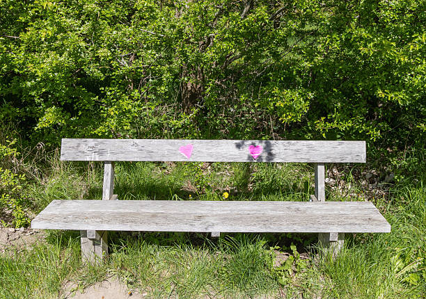 Empty wooden bench in the park