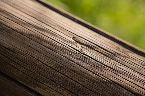 Macro image of a wooden beam showing intricate texture and natural wood grain, with a soft green bokeh background, horizontal orientation.