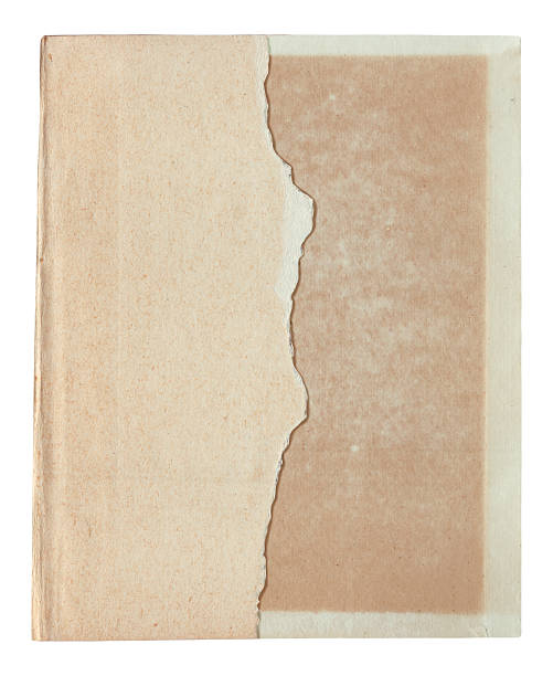 istock Vintage background of old ancient torn paper texture isolated 2214094854