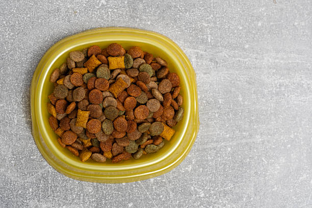 istock Cat dry food in a yellow bowl. 2214102790