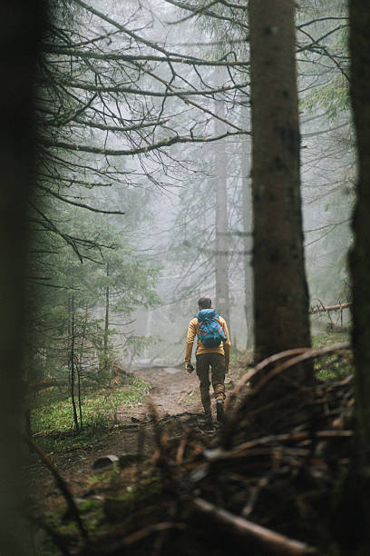 istock Unrecognisable man hiking in the misty forest 2214106638
