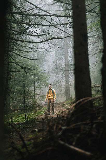 istock Handsome man amidst a misty forest during hiking 2214106659