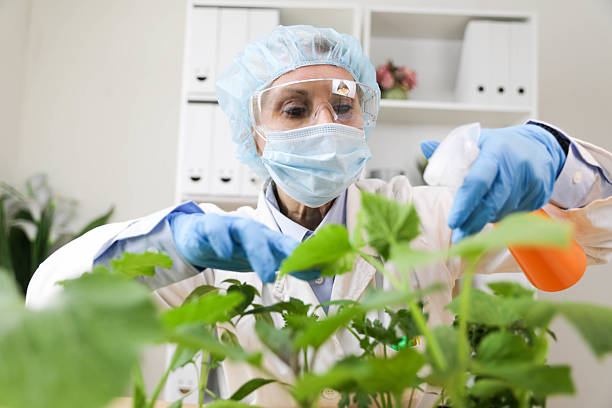 istock Senior Woman in Laboratory Watering Plants with Protective Gear 2214111462