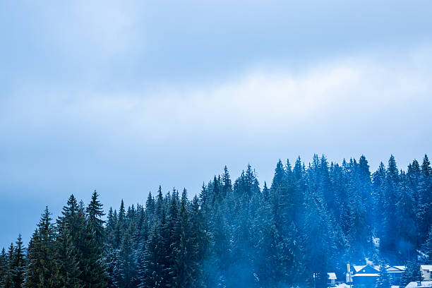 Smoke rising from chimney of a chalet in the snowy pine forest during winter