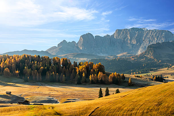 istock Beautiful sunny autumn day in the mountains 2214114377