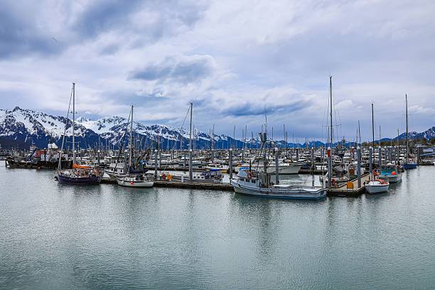 istock Seward Alaska Resurrection Bay Harbor boats 2214114466