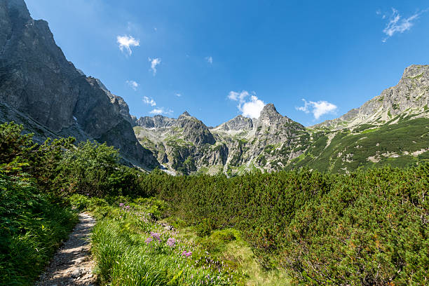 istock Beautiful mountains landscape during summer 2214114531