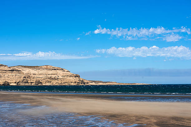istock Puerto Piramides Beach 2214115537