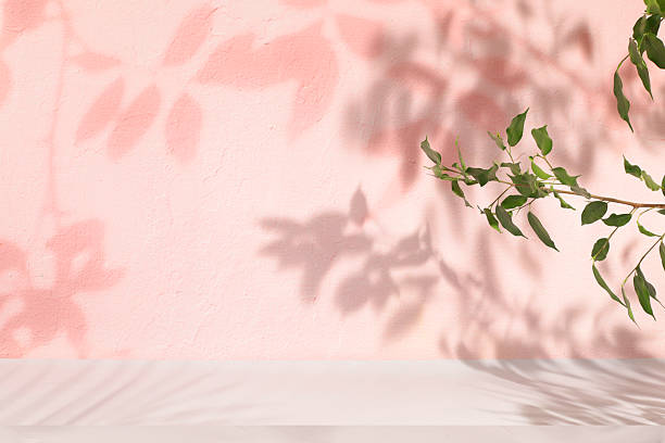 istock Premium empty podium with shadows on sunny elegant background,Minimal abstract background for cosmetic products presentation,beauty aesthetics,template for design,summer party concept, 2214119121