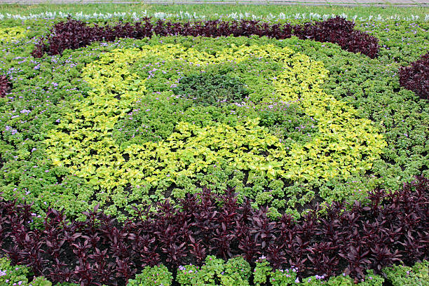 Yellow and green floral round pattern