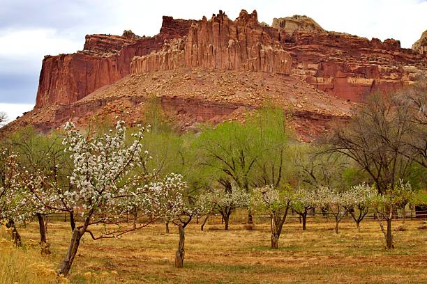 istock Capitol Reef National Park 2214131024