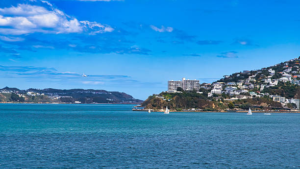 istock Passenger jet on approach to Wellington 2214136128