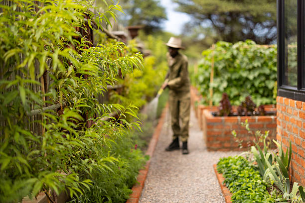Farmer waters his crops in a vibrant garden with a brick wall