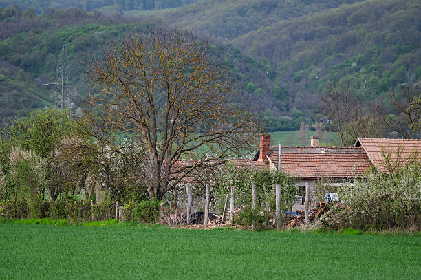 An old rural house with a red tile roof sits partially hidden behind a wooden fence and overgrown vegetation, accompanied by a large leafless tree. The scene is framed by green fields and wooded hills, evoking a sense of rustic tranquility and natural decay.