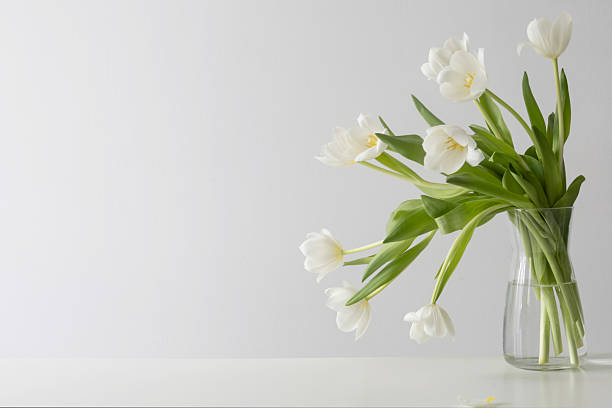 istock white tulips in glass vase in white interior 2214138640