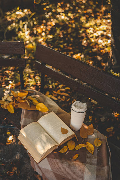 istock Open book and reusable coffee cup on a plaid blanket-covered bench in an autumn park, surrounded by fallen yellow leaves and warm afternoon light 2214148313