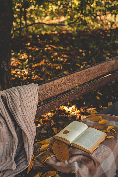 Open book and reusable coffee cup on a plaid blanket-covered bench in an autumn park, surrounded by fallen yellow leaves and warm afternoon light