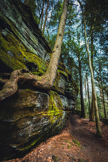 istock Green Caves Ledges Trail Scenic View 2214150873