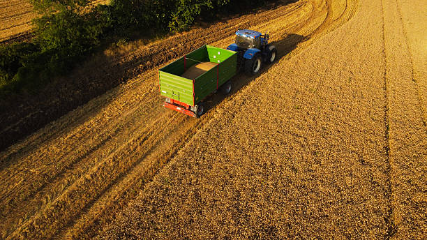 istock Tractor with a Trailer filled by Harvested Grain 2214151160