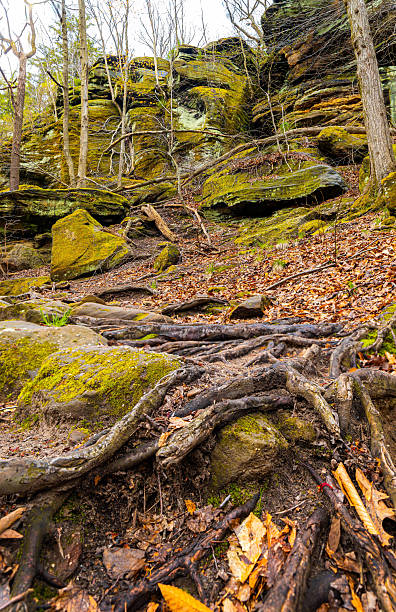 istock Green Caves Ledges Trail Scenic View 2214151184