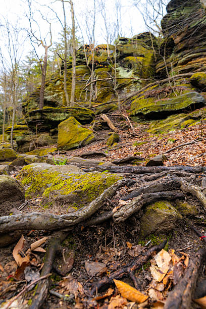 istock Green Caves Ledges Trail Scenic View 2214151214