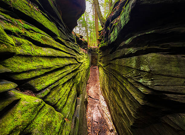 Green Caves Ledges Trail Scenic View
